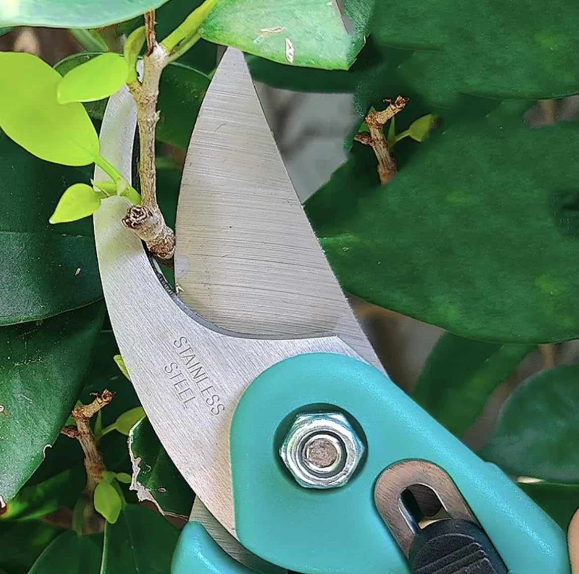 Heavy-Duty Pruning Shear Cutter.